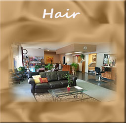 Hair Styles at Absolute Hair Boutique